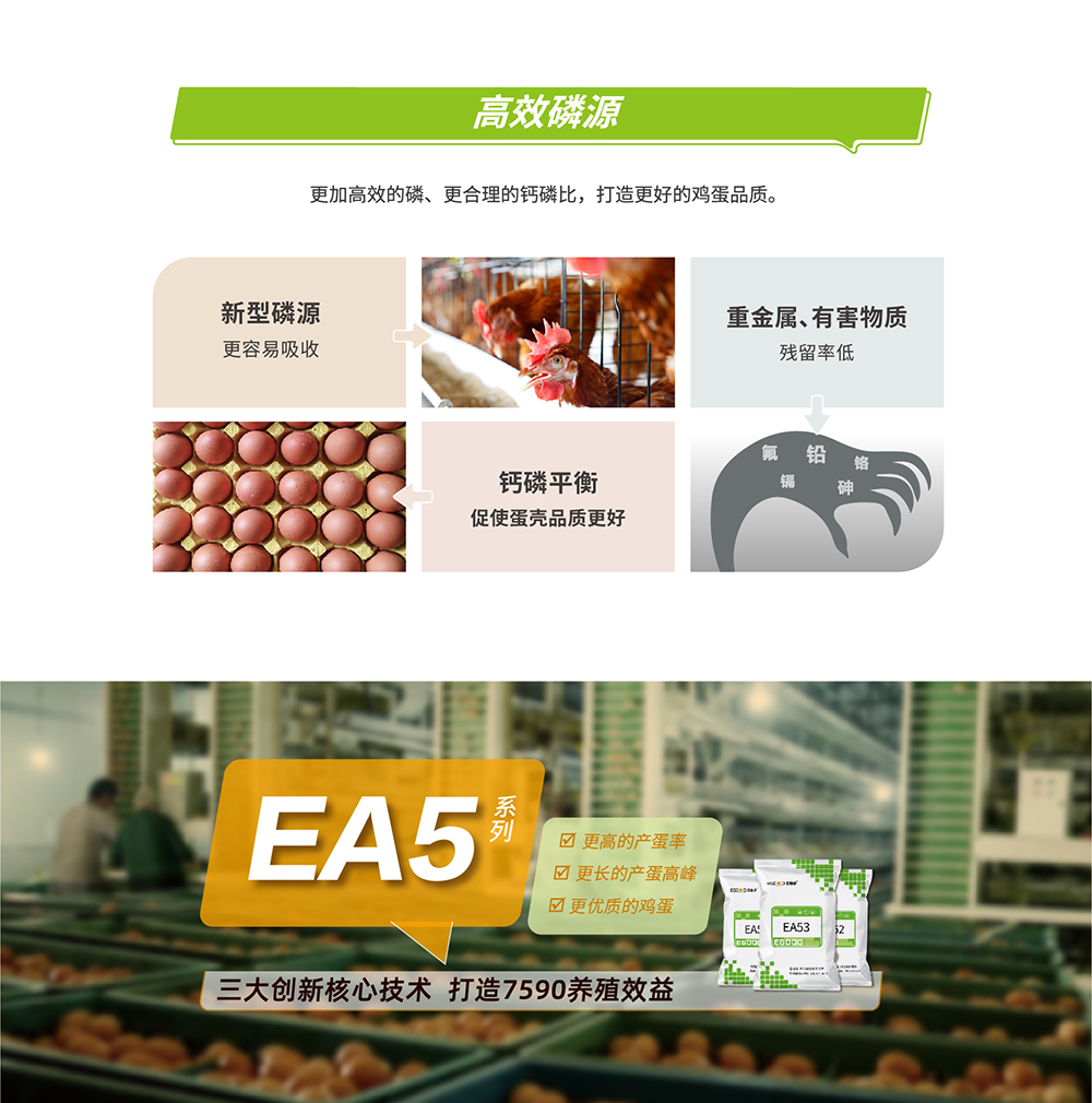 20220606 EA系列_產(chǎn)品詳情頁(yè)_畫(huà)板 4